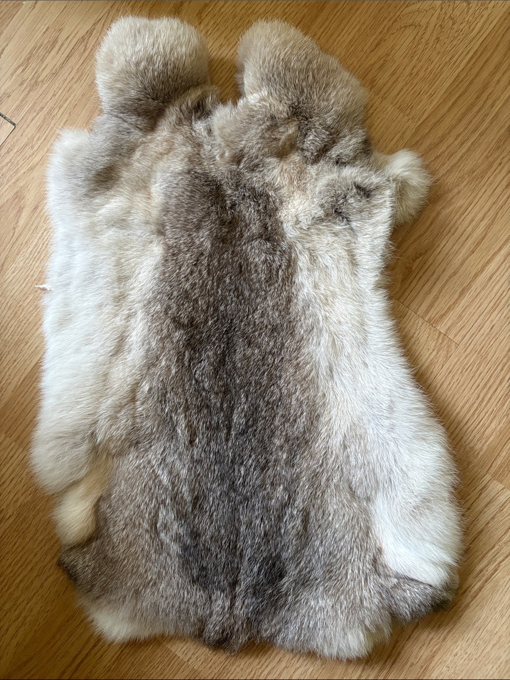 B0124 rabbit pelt